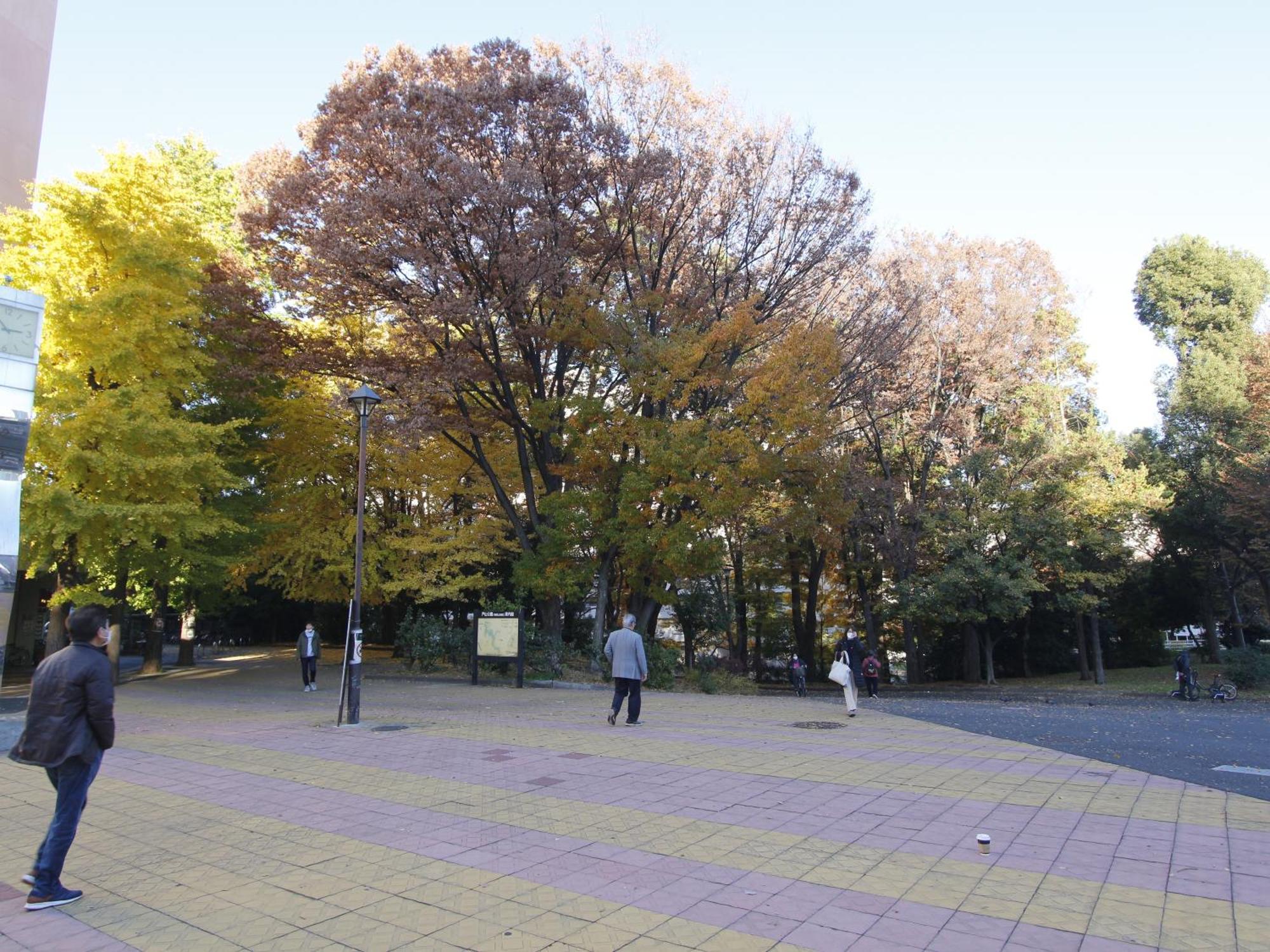 Ferienwohnung 和貴ビル Präfektur Tokio Exterior foto